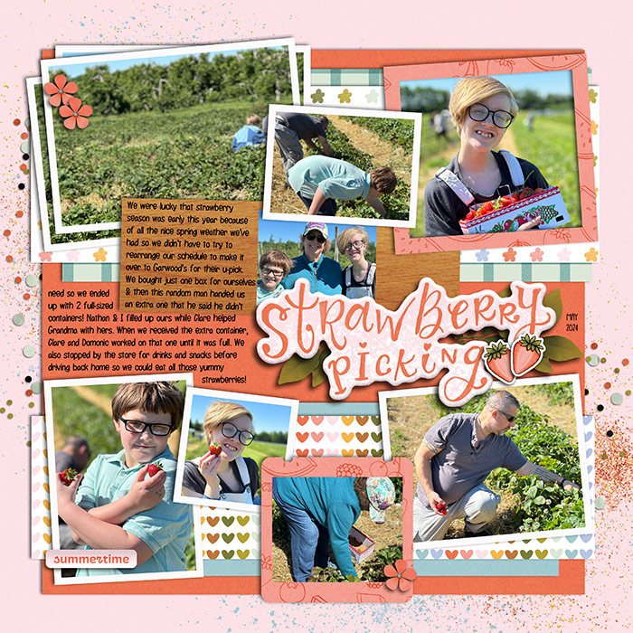 Strawberry Picking