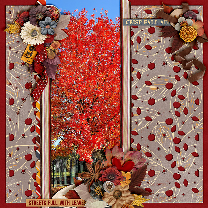 Streets of Leaves