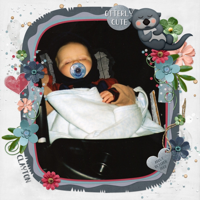 Stroller Nap