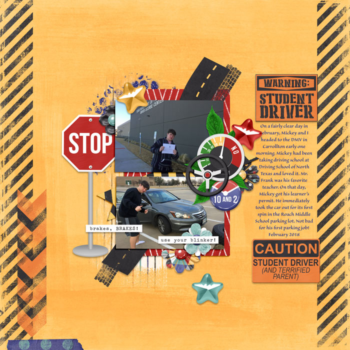 Student Driver February 2018