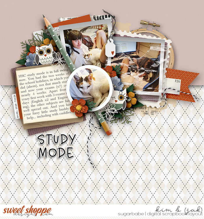 Study Mode