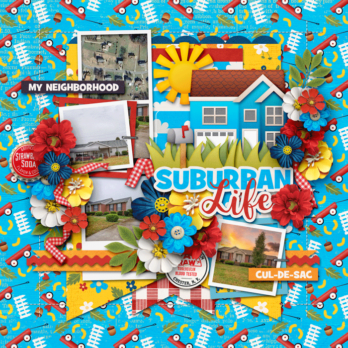 Suburban Life