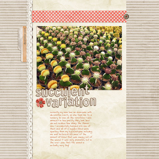 succulent variations