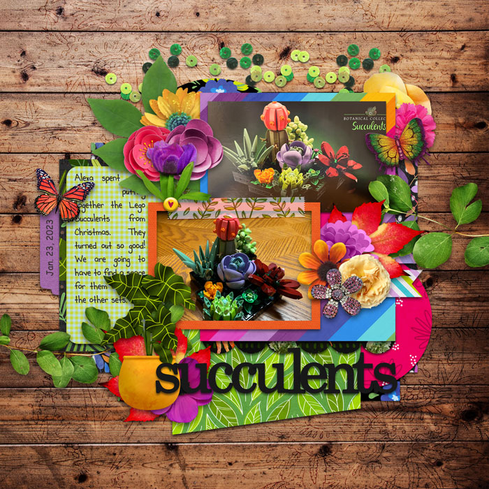 Succulents
