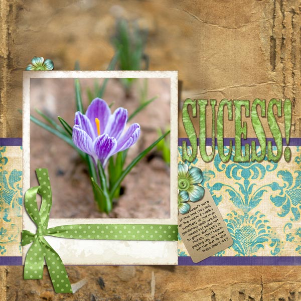Sucess