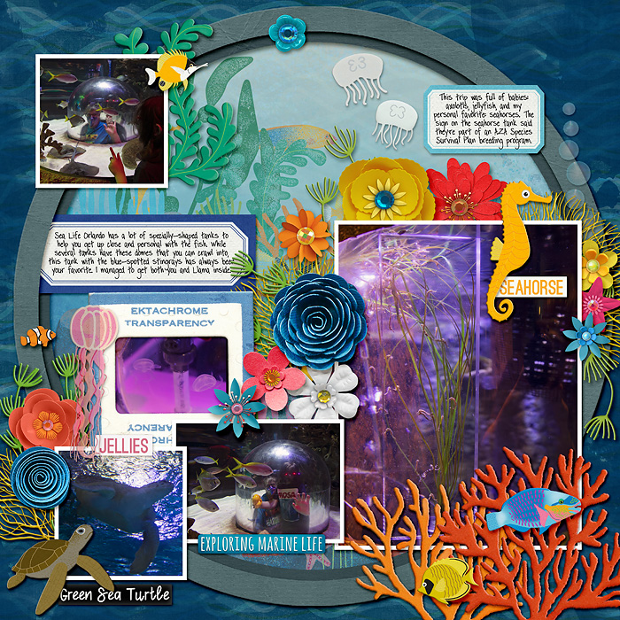 summer at Sea Life - right