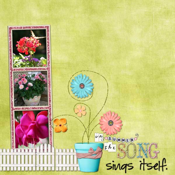 Summer Blooms