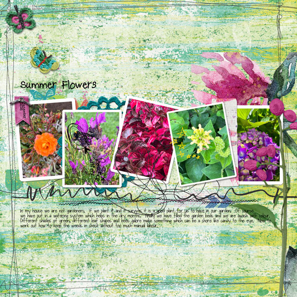 Summer Flowers