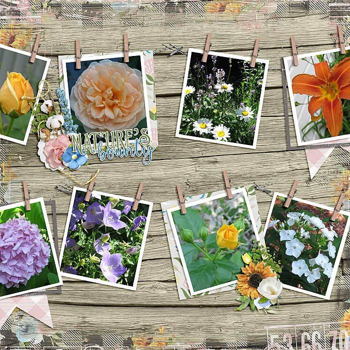 Summer Garden