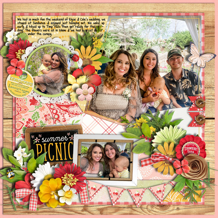 Summer Picnic