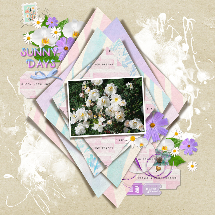 Summer roses