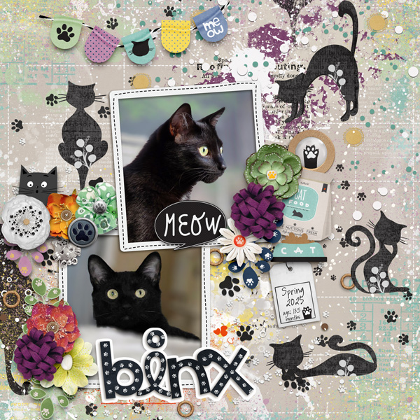 Summer SAT Aug 20 Cat's Meow