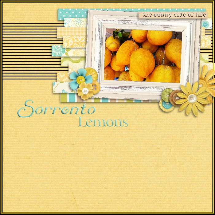 Summer shadowbox 10th August