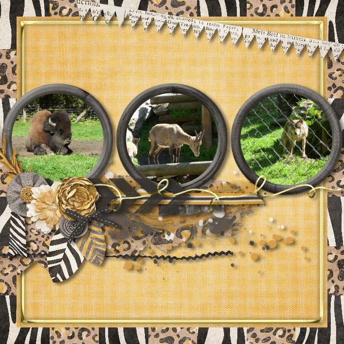 Summer shadowbox 31st August