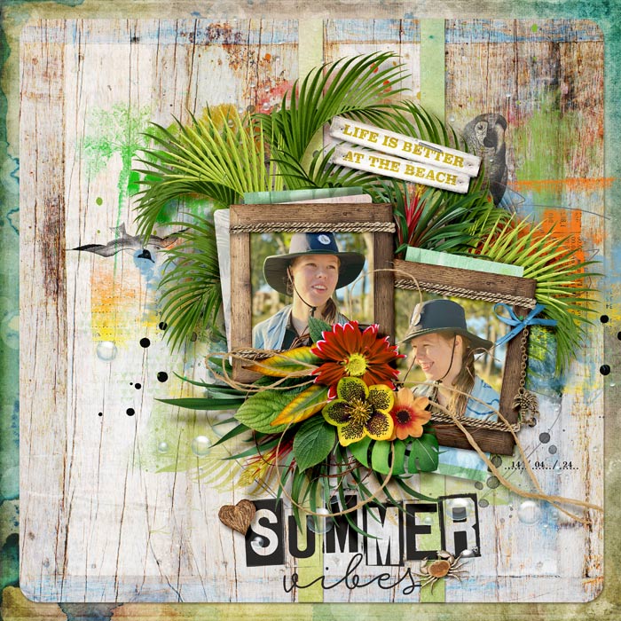 Summer Vibes