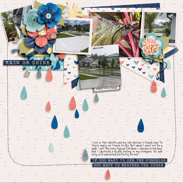 Summer2023-26Aug - Rain or Shine