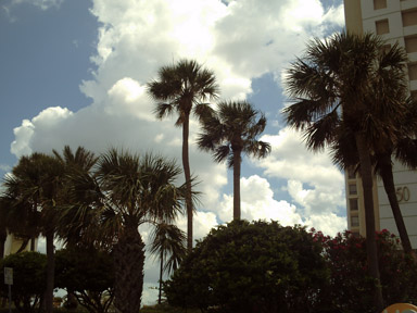 Summertime