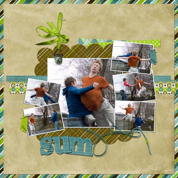sumo