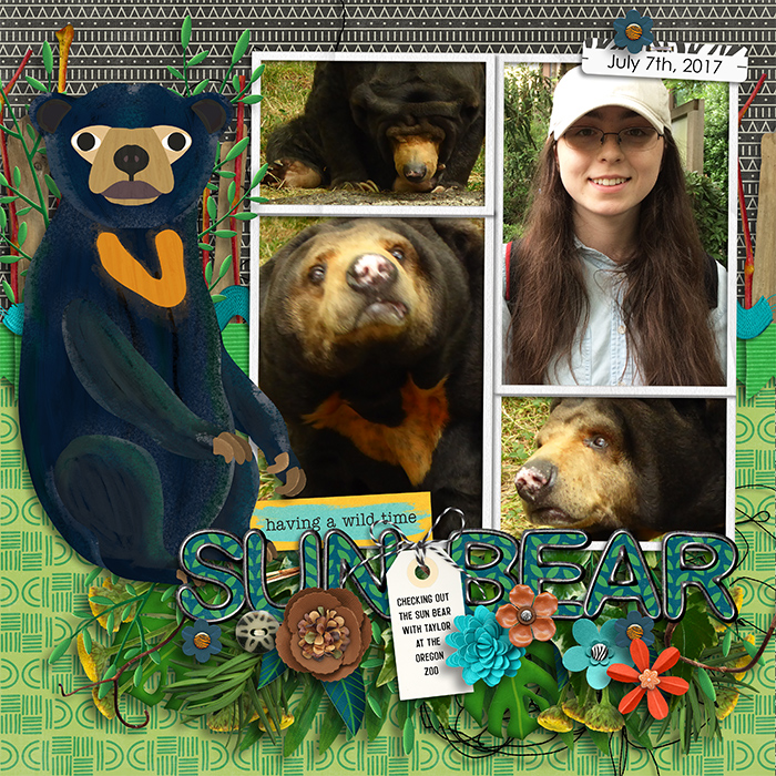 Sun Bear at The Oregon Zoo