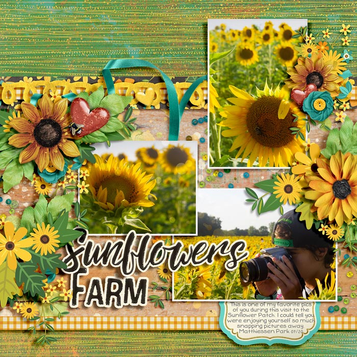 Sunflower Farm