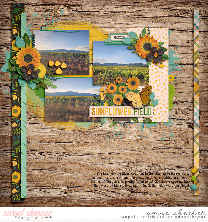 Sunflower Field