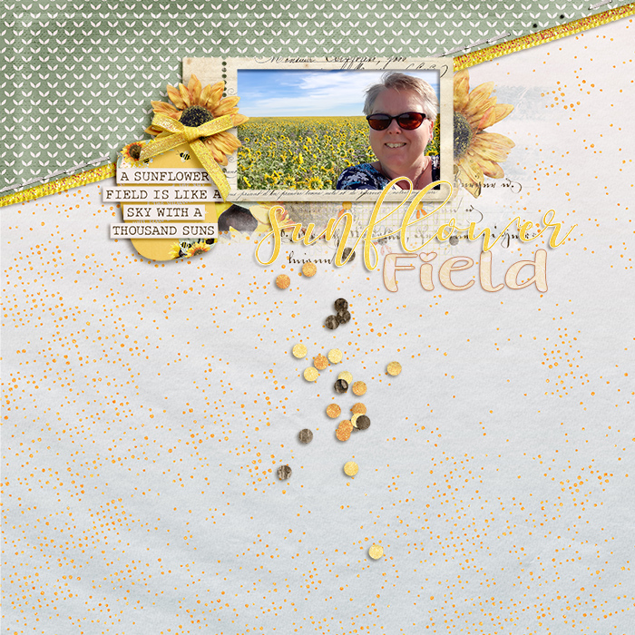 Sunflower Field