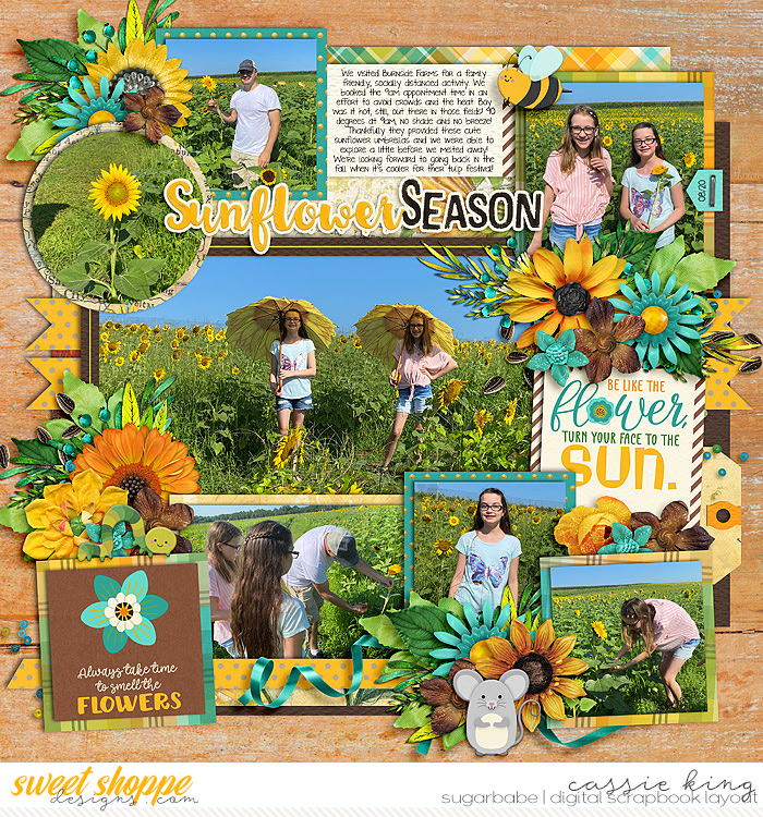 Sunflower Fields