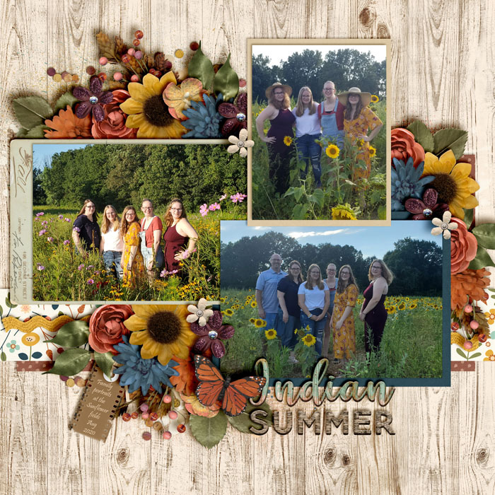 Sunflower Fields