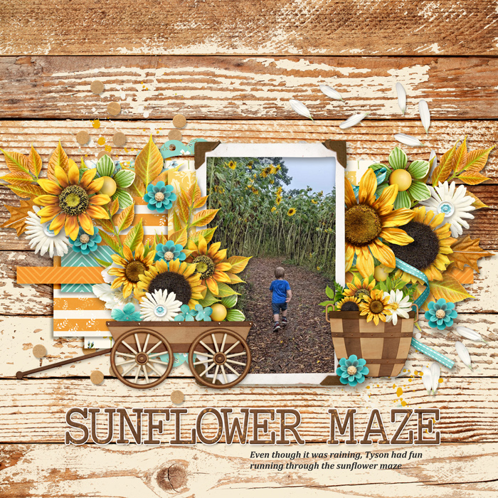 Sunflower maze