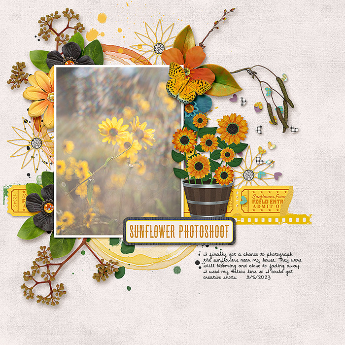 Sunflower Photo Shoot