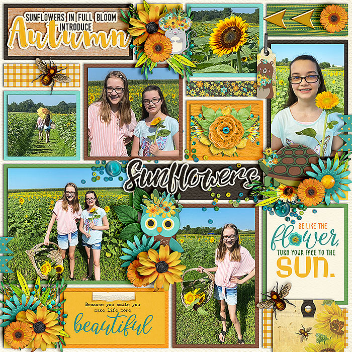 sunflower sayings