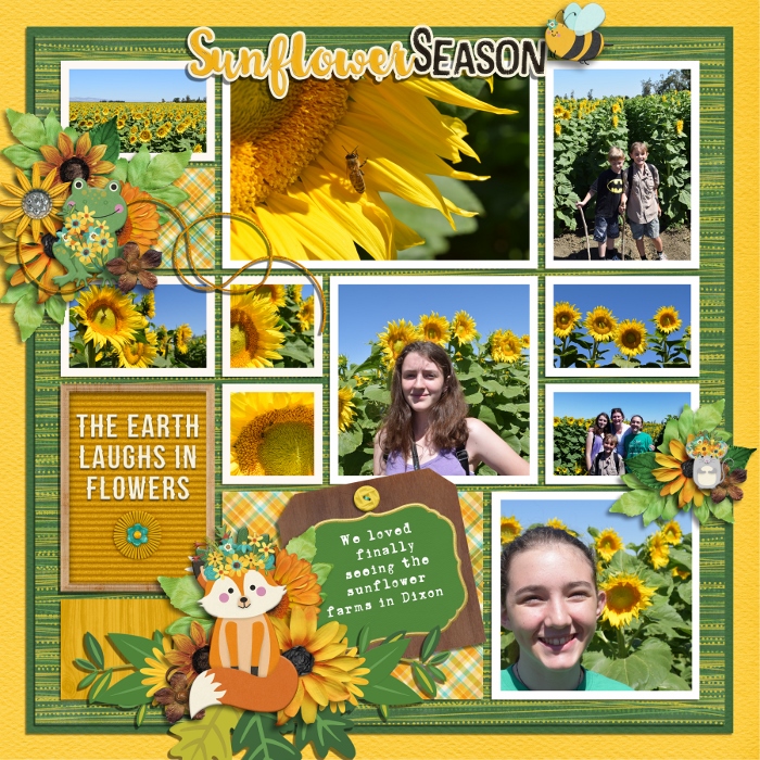 Sunflower Season