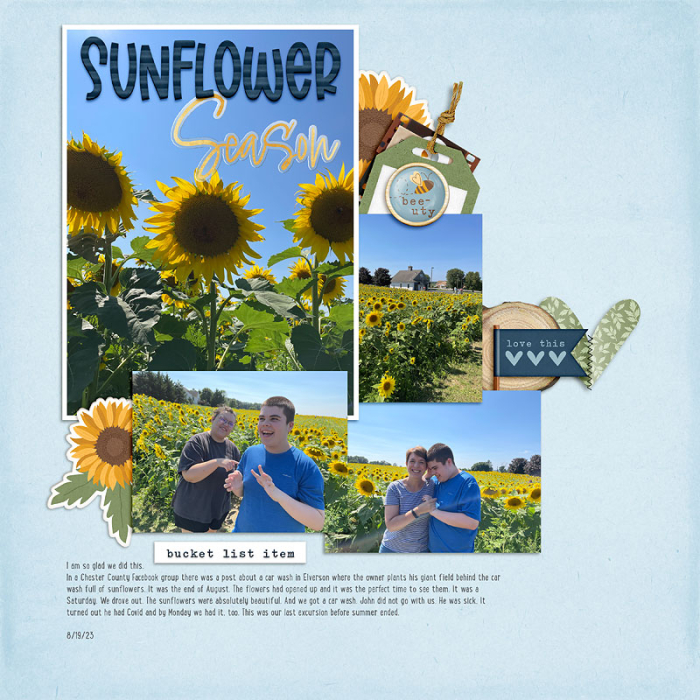 sunflower season