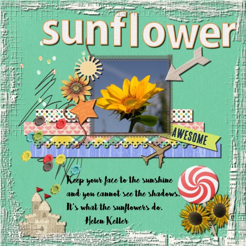 Sunflower