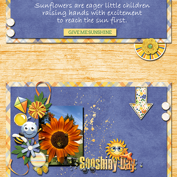 Sunflower
