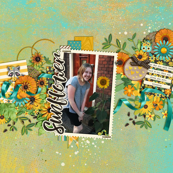 Sunflower