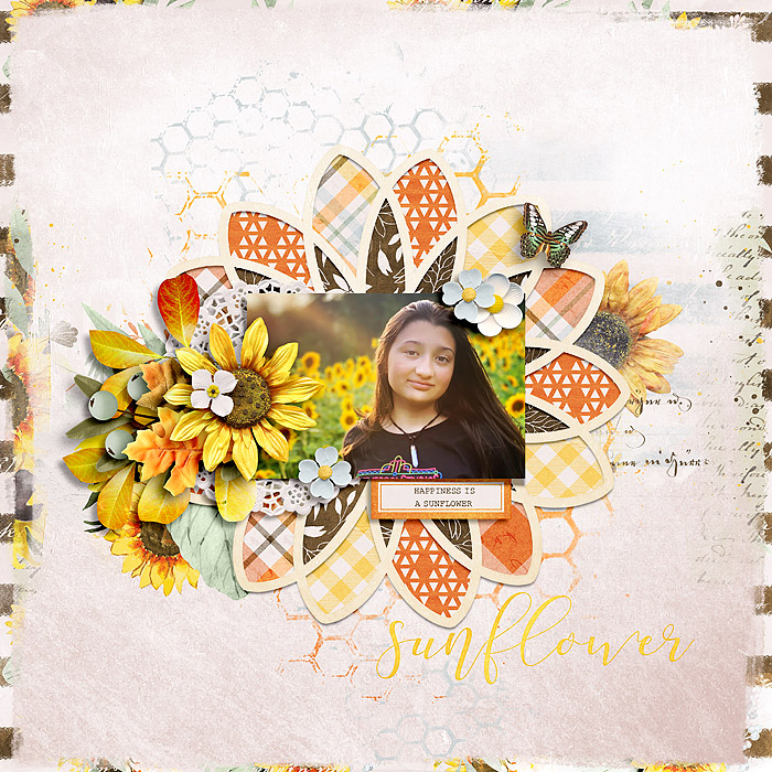 Sunflower
