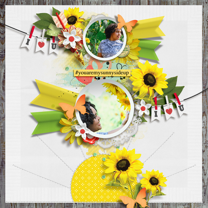 Sunflower