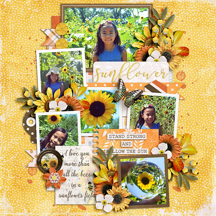 Sunflower