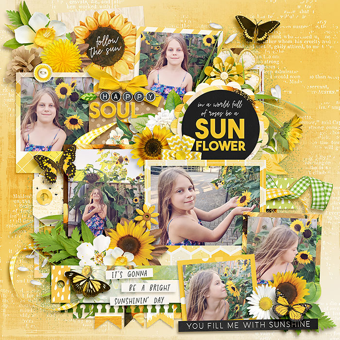 Sunflower
