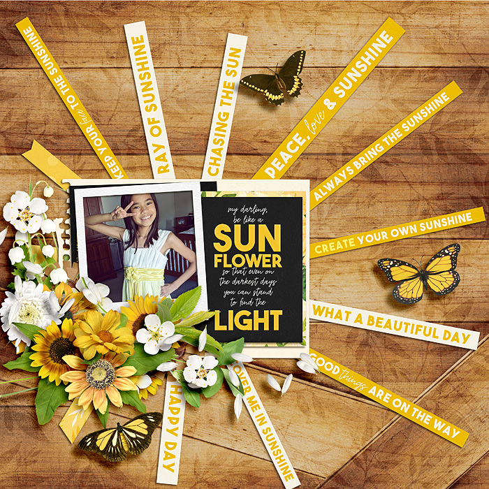 Sunflower
