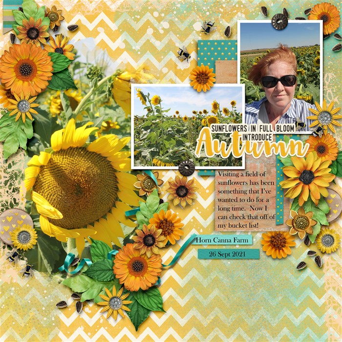 Sunflowers in Autumn