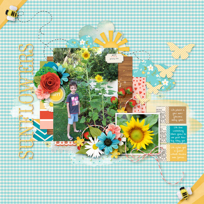 Sunflowers