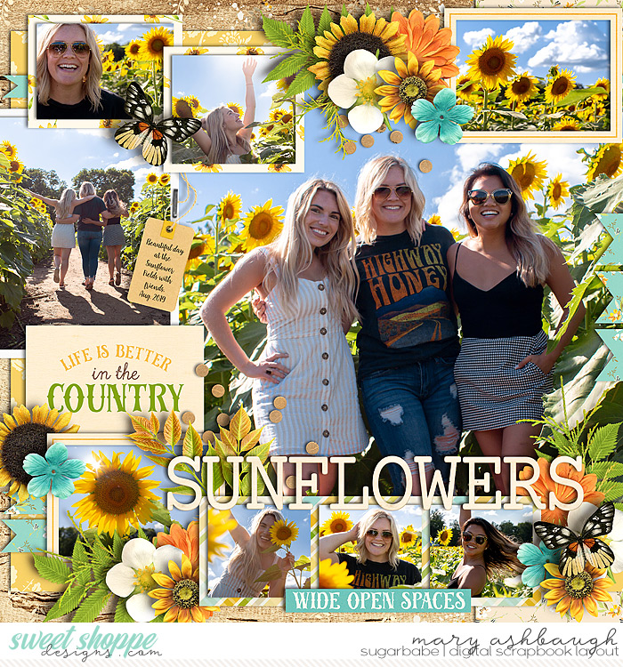 Sunflowers