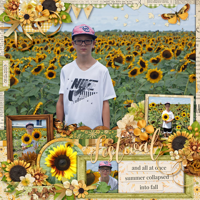Sunflowers
