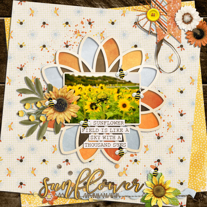 sunflowers