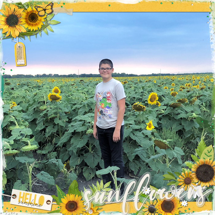 Sunflowers