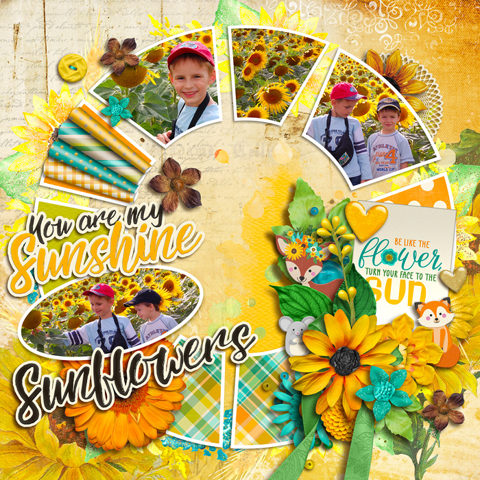 Sunflowers