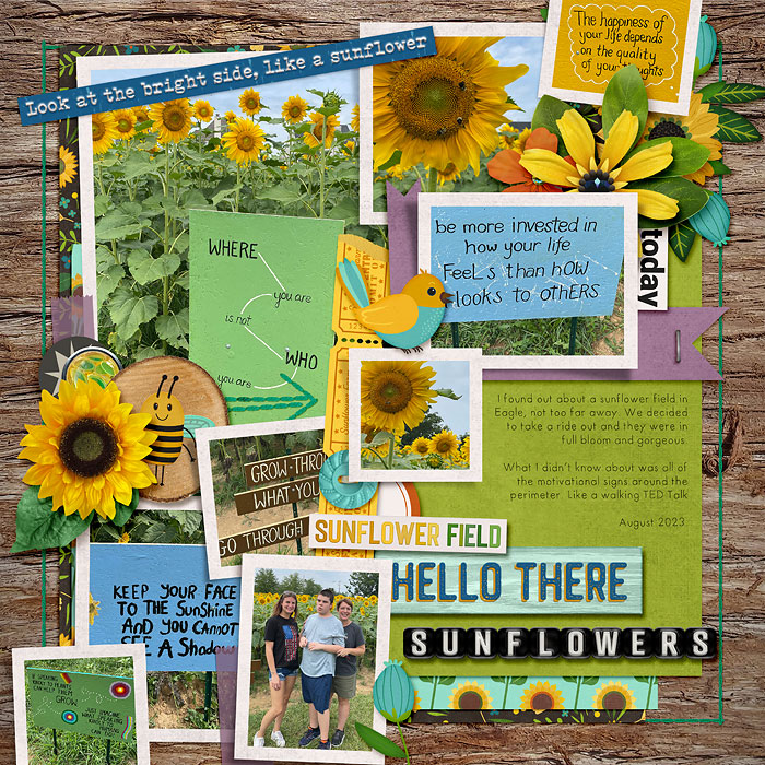 sunflowers