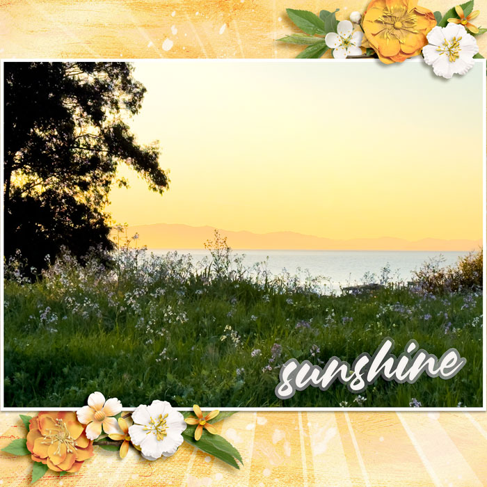 Sunset Bay